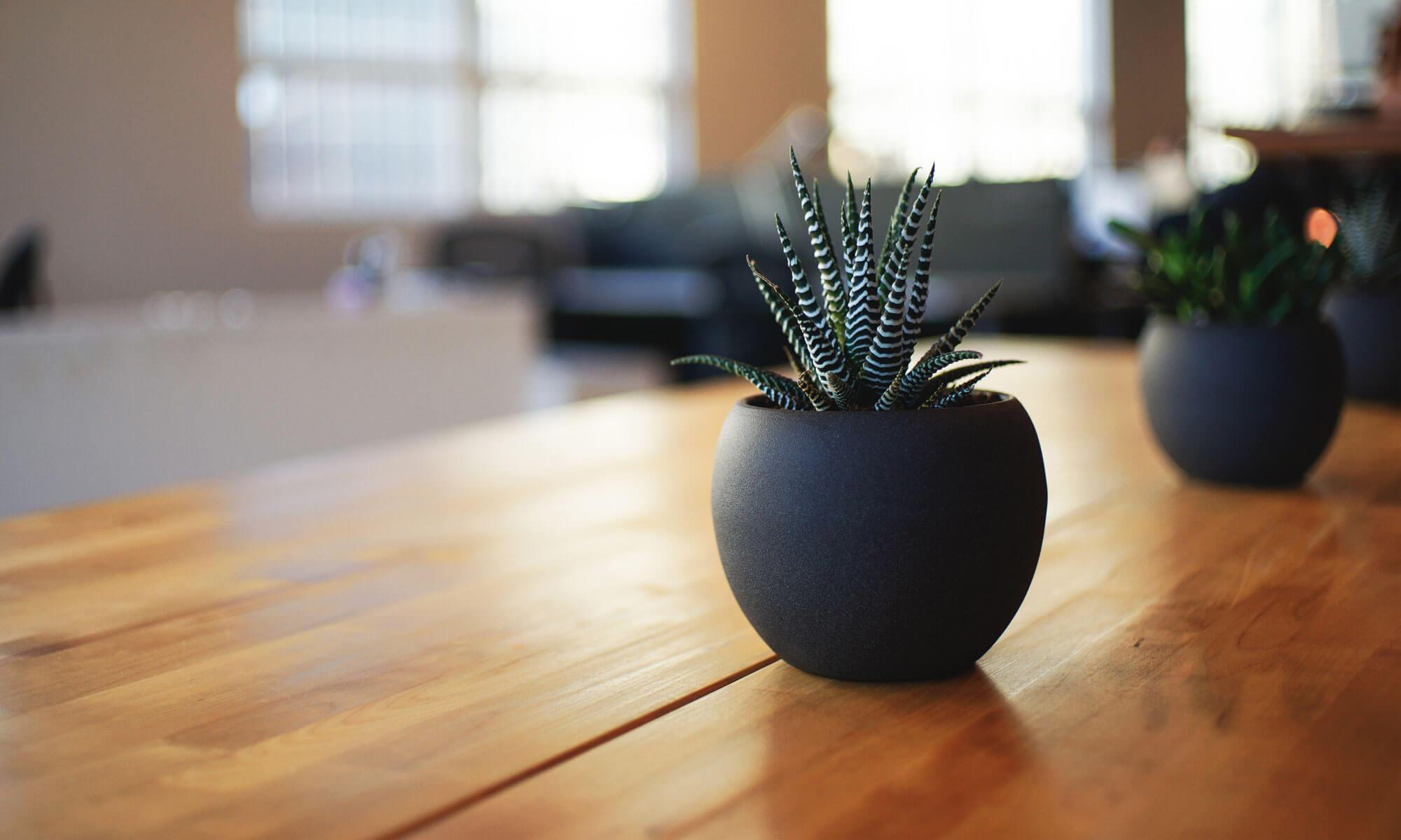 Studio Distilled